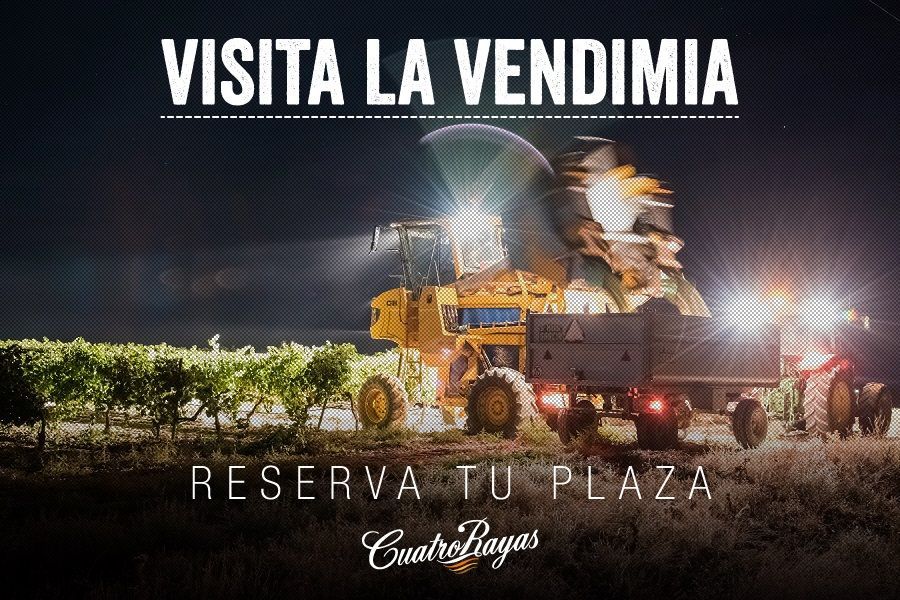 Vendimia nocturna en Bodega Cuatro Rayas