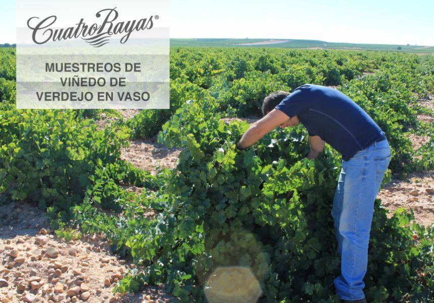 20130918-muestreo-blog