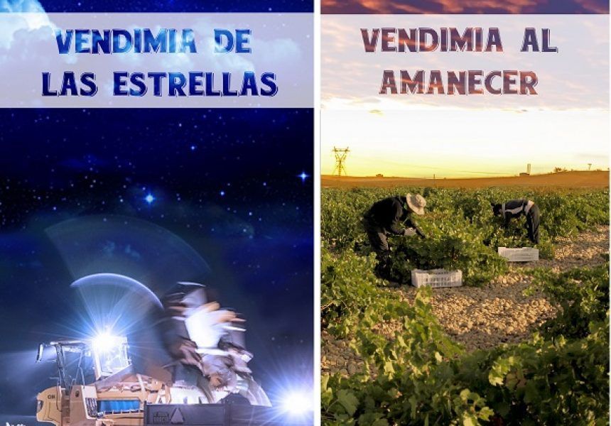 Cartel Publicitario Vendimia Bodega Cuatro Rayas 2018 web|40983570412_77fbe52b4e_o|40983417472_62008f3ece_o|Vendimia manual 2