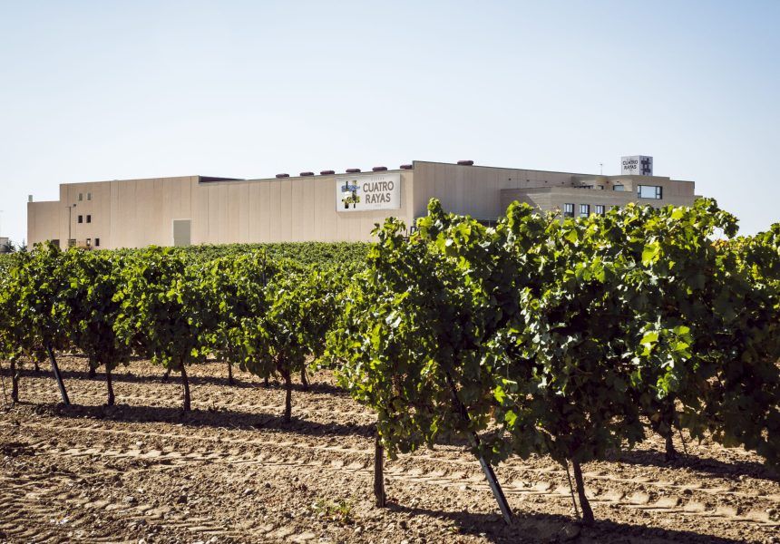 Bodega Cuatro Rayas_53